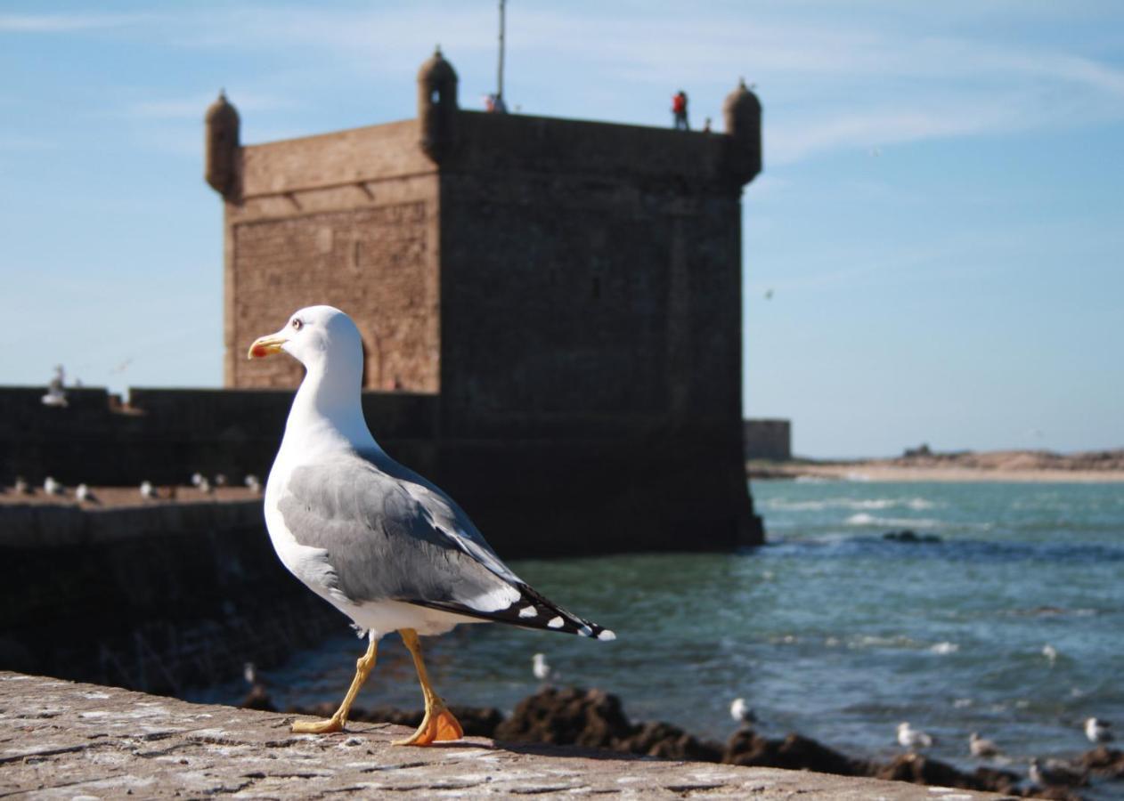Dar Tranquille Hotel Essaouira Eksteriør billede